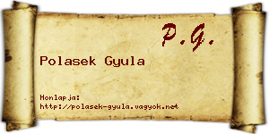 Polasek Gyula névjegykártya